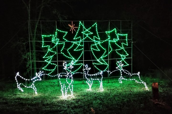 Branson VIP Christmas Light Tour