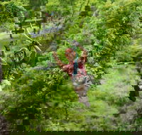 Zipline Canopy Tour in Branson - Accommodation Missouri