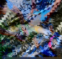 SEA LIFE Kansas City Aquarium Admission Ticket - Accommodation Missouri