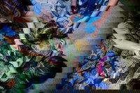 Kansas City Mo Accommodation Missouri