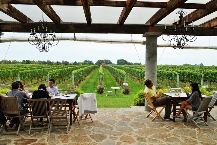 Long Island Winery Tour