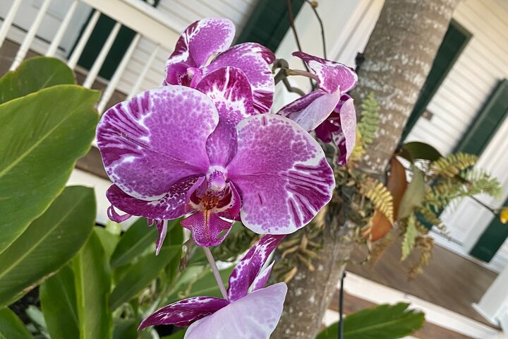 Southhampton Shuffle Scavenger Hunt