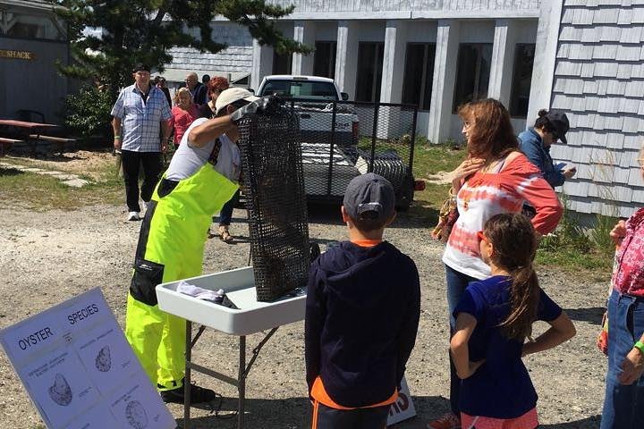 Southold Bay Oyster Farm Tour - thumb 1