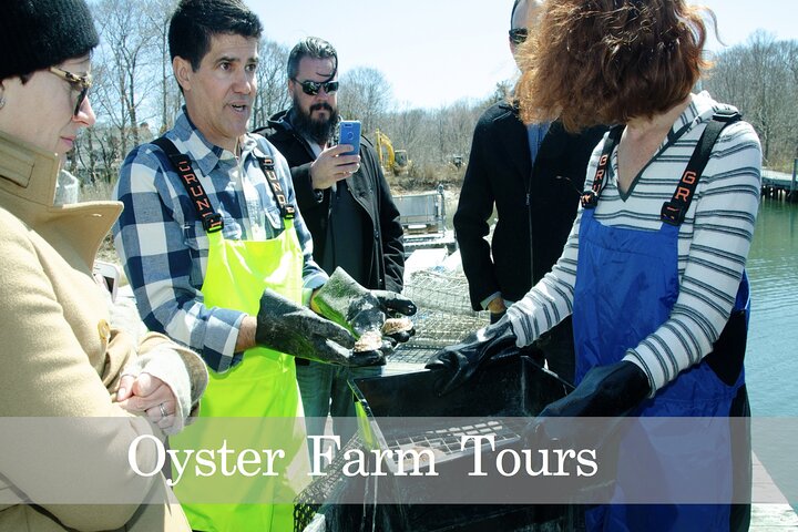 Southold Bay Oyster Farm Tour - thumb 2