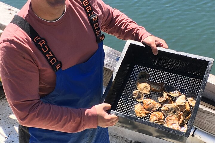 Southold Bay Oyster Farm Tour - thumb 3