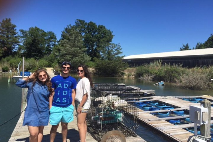 Southold Bay Oyster Farm Tour - thumb 4