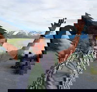 Wilderness Wildlife Glacier Experience from Anchorage - Accommodation Missouri