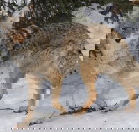 Summer All-In-One - Accommodation Missouri