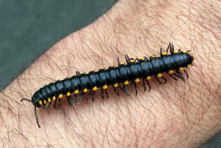 Columbia Gorge Hike Wine  Discover