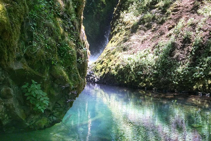 Half-Day Columbia River Gorge and Waterfall Hiking Tour