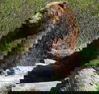 Alaska Wildlife Visit 1-hr. Glacier Cruise Adventure  Anchorage City Tour - Accommodation Missouri