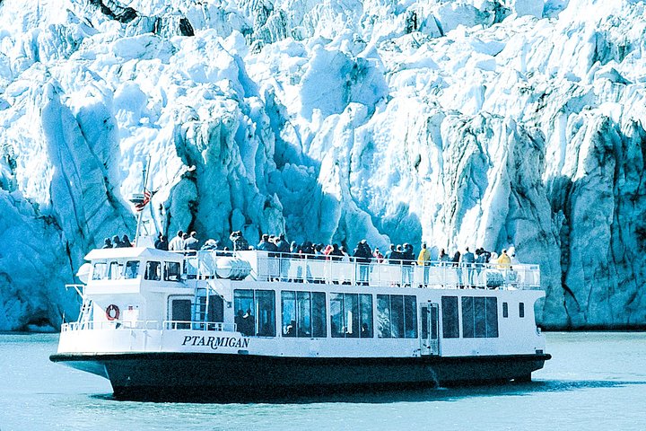 Alaska Wildlife Visit, 1-hr. Glacier Cruise Adventure & Anchorage City Tour - thumb 5