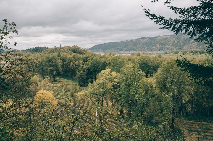 Private Afternoon Multnomah Falls and Gorge Waterfalls Tour