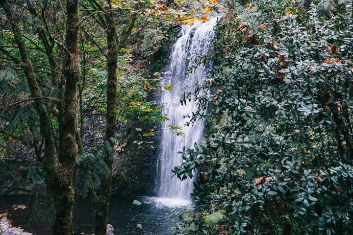 Private Afternoon Multnomah Falls And Gorge Waterfalls Tour - thumb 1