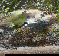 Glaciers and Wildlife Super Scenic Day Tour from Anchorage - Accommodation Missouri