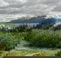 Alaska Wildlife Day Tour with Free Hotel Pickup - Accommodation Missouri