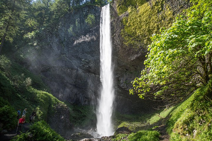 Multnomah Falls and Columbia River Gorge Tour with Gray Line