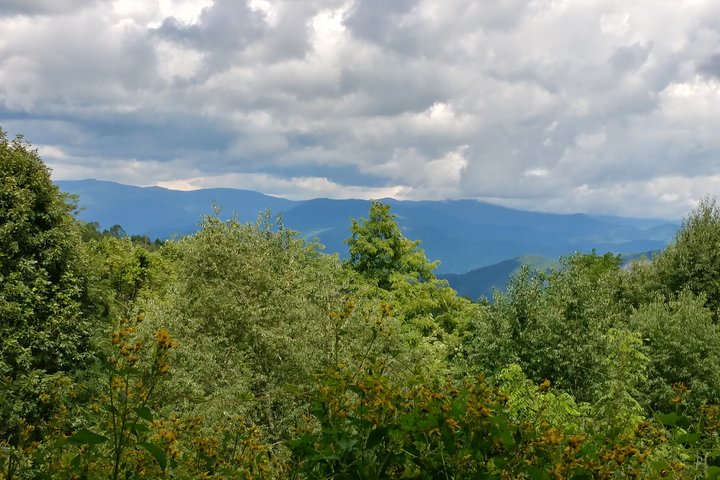 Book Viator Accommodation Vacations, Accommodation Missouri Accommodation Missouri