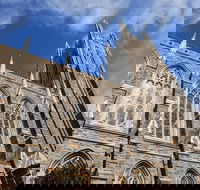 Scavenger Hunt Books and Basketball at Duke University - Accommodation Missouri