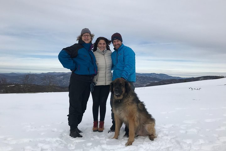 Blue Ridge Mountains Guided Hiking Tour with Local Guide - small groups