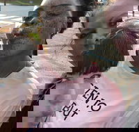 Scavenger Hunt Adventure in Pittsburgh by Crazy Dash - Accommodation Missouri