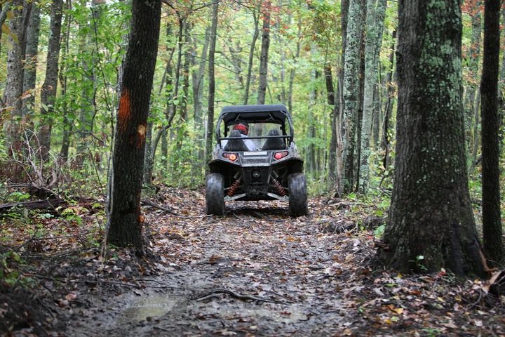 Premier Powersport Dealer: Sales, Service & UTV Rentals - thumb 5