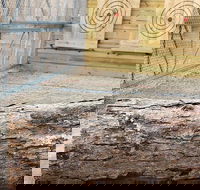 Axe Throwing Training - Accommodation Missouri