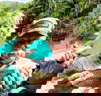 Full Day Float Trip - Accommodation Missouri