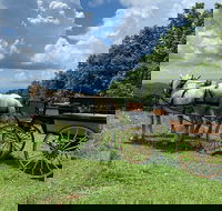 Horse and Carriage Ride through Moses H. Cone Park - Accommodation Missouri