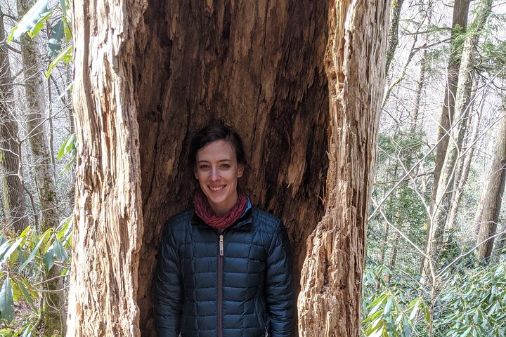 Small-Group Hiking the Best of the Blue Ridge Montains