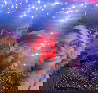 Private Pedicab Karaoke Cruising in Downtown Raleigh - Accommodation Missouri