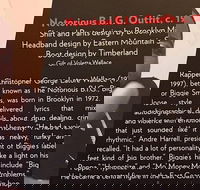 Rock and Roll Hall of Fame Admission in Cleveland - Accommodation Missouri