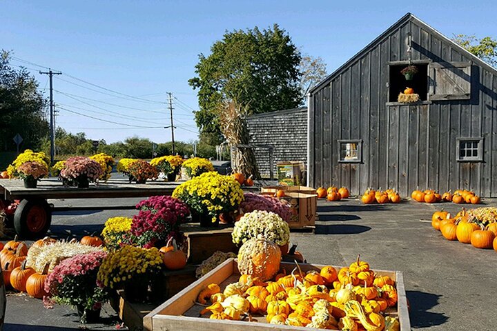 Autumn In New England - thumb 3