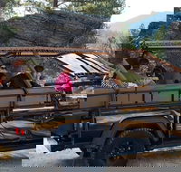 Jeep Bison Safari - Custer State Park - Accommodation Missouri