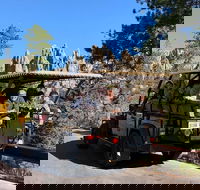 Private - Group Jeep Bison Safari - Sunshine  Fresh Air - Accommodation Missouri