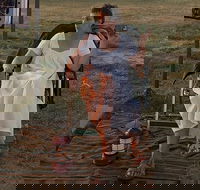 Private Group - Badlands Tour - Accommodation Missouri