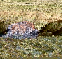 Private Tour - Badlands Delta 9 Missile Museum  Wall Drug - Accommodation Missouri