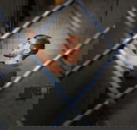 Chattanooga Secret Agent Escape Room Admission Ticket - Accommodation Missouri