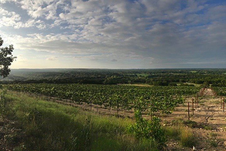Half-Day Guided Tour Of North Texas Wineries And Vineyards With Wine Tastings - thumb 2