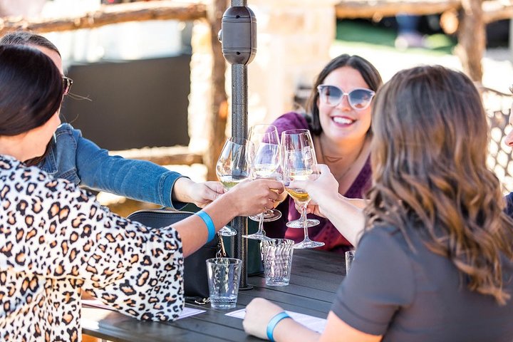 Half-Day Guided Tour Of North Texas Wineries And Vineyards With Wine Tastings - thumb 4
