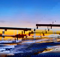 90 Minute Hilton Head Dolphin Tour - Accommodation Missouri