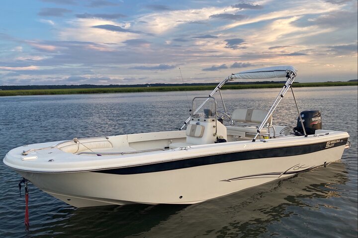 90-Minute Private Dolphin Tour In Hilton Head Island - thumb 1