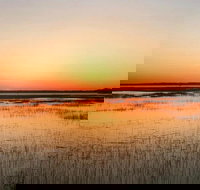 Private Hilton Head Sunset Dolphin Tour - Accommodation Missouri