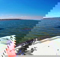 Private Hilton Head Dolphin Watching Tour with Waterfront Dining Stops - Accommodation Missouri