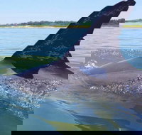 Hilton Head Jet Ski Adventure - Accommodation Missouri