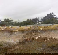 Private Badlands National Park Day Tour - Accommodation Missouri