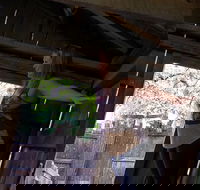 Cosmos Mystery Area Admission - Accommodation Missouri