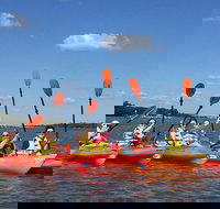 2-Hour Guided Kayak Nature Tour of Hilton Head - Accommodation Missouri