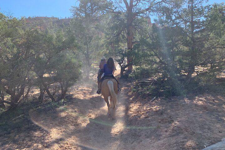 Ruby's Horseback Adventures Utah Half Day Ride