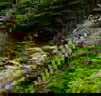 Sea Kayak and Mountain Bike Adventure near Olympic National Park - Accommodation Missouri